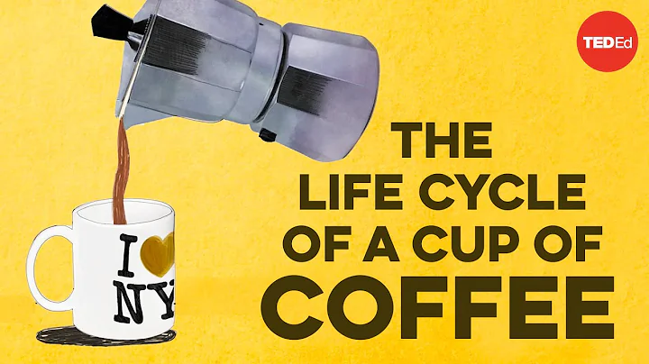 The life cycle of a cup of coffee - A.J. Jacobs - DayDayNews