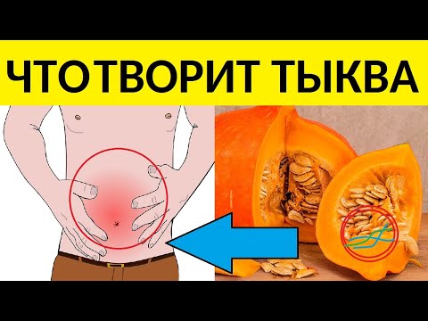 Тыква Польза и Вред Тыквы - польза тыквы  на самом деле!