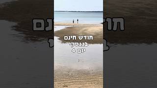 יום 4 חינם בנגסקי