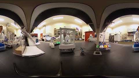 Studying the DNA of Microbes in Soil