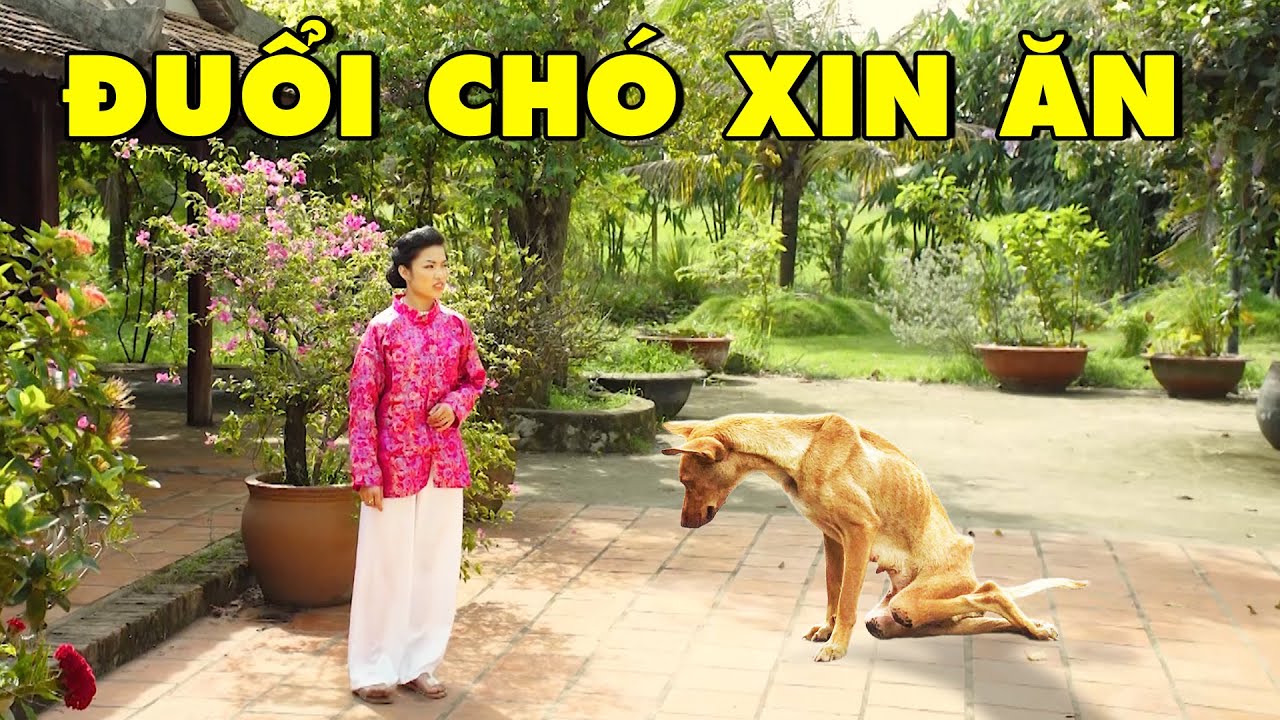 CỔ TÍCH VIỆT NAM 2024 | ĐUỔI CHÓ XIN ĂN | CỔ TÍCH VIỆT NAM MỚI 2024 | CỔ TÍCH NƯỚC NAM MỚI