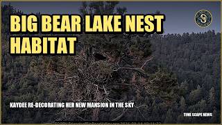 Big Bear Lake Nest Habitat | Kaydee re-decorating her new mansion in the sky?