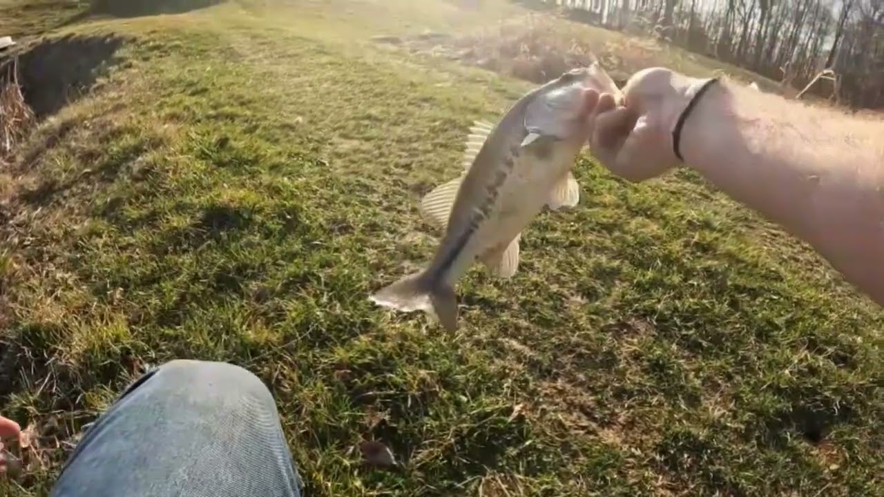 Want To Know How To Catch Numbers? Bass Fishing Basics.