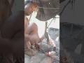 Blacksmithing is a popular job in our country.