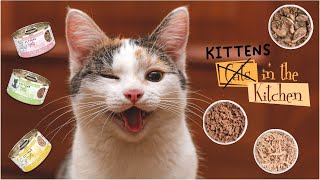 Wholesome and Delicious: Exploring the Flavors of Cats in the Kitchen Kitten by Weruva 276 views 1 year ago 1 minute, 7 seconds
