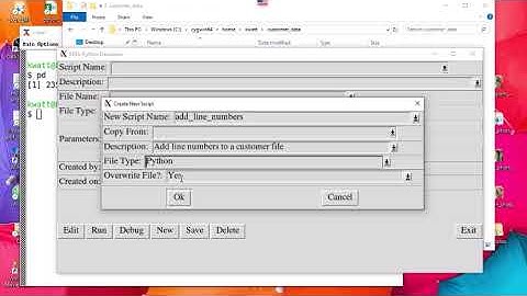 PERL/Python Developer - Creating Scripts