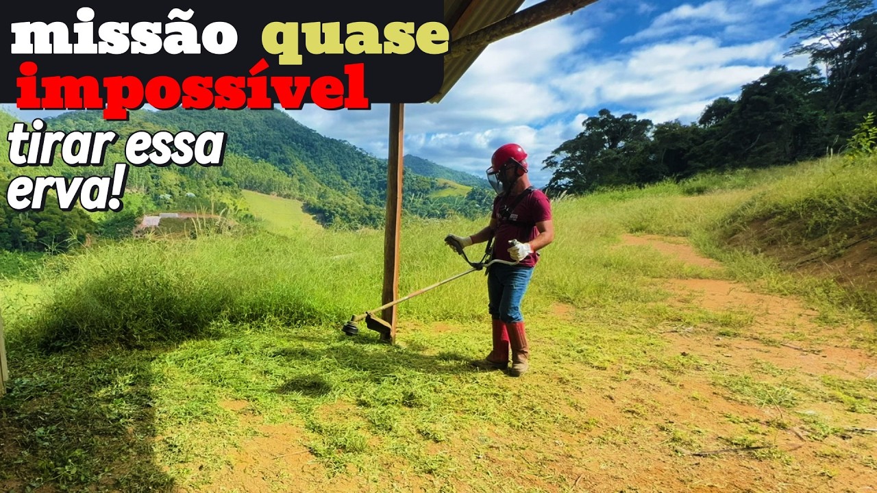 A estrada tinha sumido! Encontramos novamente! Roçada PESADA!