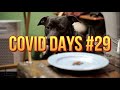 coviddays29