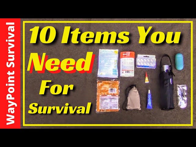 10 Items You NEED For Survival! [ That you forgot! ] 