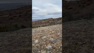 Seni Yavaş Yavaş Unutmuş Iken🎼💛🖤💛🎶🎤