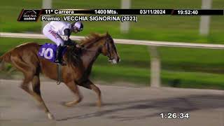 Vidéo de la course PMU PRIX VECCHIA SIGNORINA (2023)