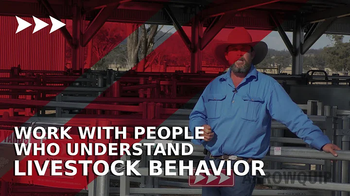 Livestock Handling Tip: Work With People Who Understand Livestock Behavior - Boyd Holden