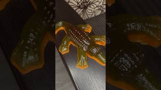 🐊РУЧНОЙ ЗВЕРЁК #прикол #смешновидео #юмор