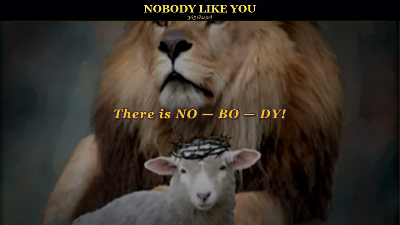Nobody Like You   Lyric Video