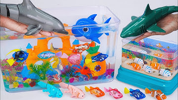 [Toy asmr] RC Dolphin & RC Shark & Zuru Robo Fish & Harp