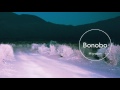 Bonobo : Outlier