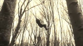 Timuray Unlu - Son    (  2006 )
