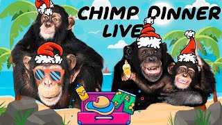 The one and ONLY Chimp Dinner Live | Dec 26th