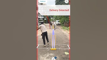 This AI Tool can become Cricket Umpire! #shorts