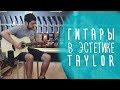 Modern-серия Sigma Guitars в эстетике гитар Taylor. gitaraclub.ru