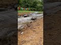 RC racing nitro vs electric which one is faster