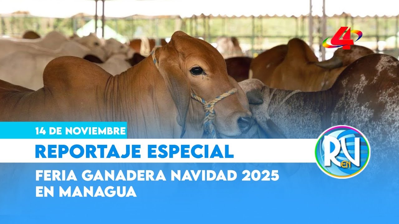 Feria Ganadera Navidad Managua 2025: Recorrido 🐂 por el evento donde las fiestas empiezan antes 🎄