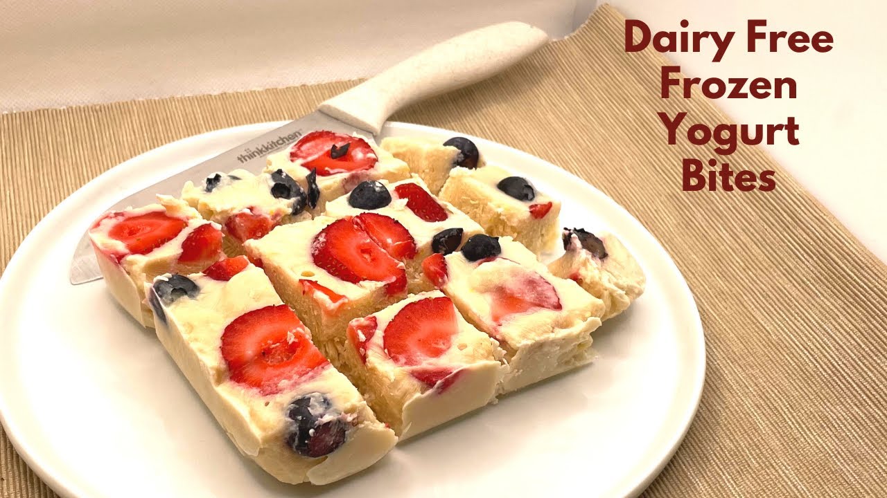 Dairy Free Vegan Frozen Yogurt Bites PSMF & Keto friendly 0g