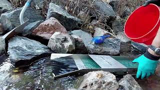 : Scraping Gold From Decomposing Bedrock...Plus the MAGIC CULVERT! #goldpanning
