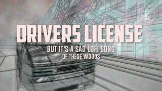 driver's license but it's lofi hip hop