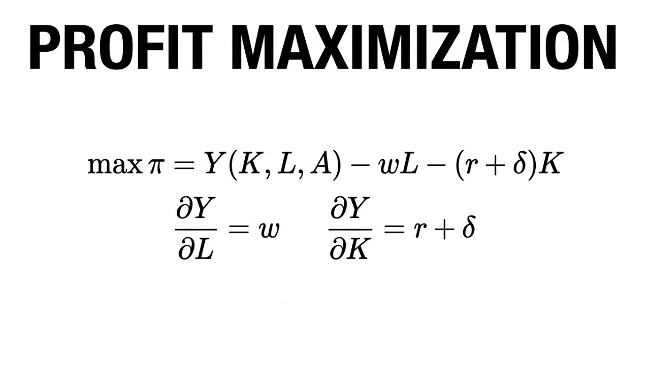 The Profit Maximization Problem and Factor Rewards - YouTube