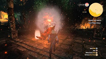 The Witcher 3 Ifrit Frame Drop Glitch - World on Fire