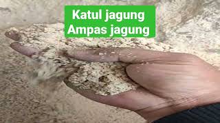 katul jagung pakan ternak