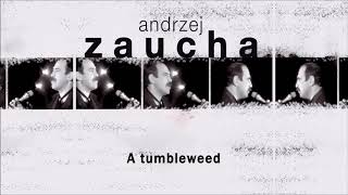 Andrzej Zaucha - A tumbleweed [Official Audio]
