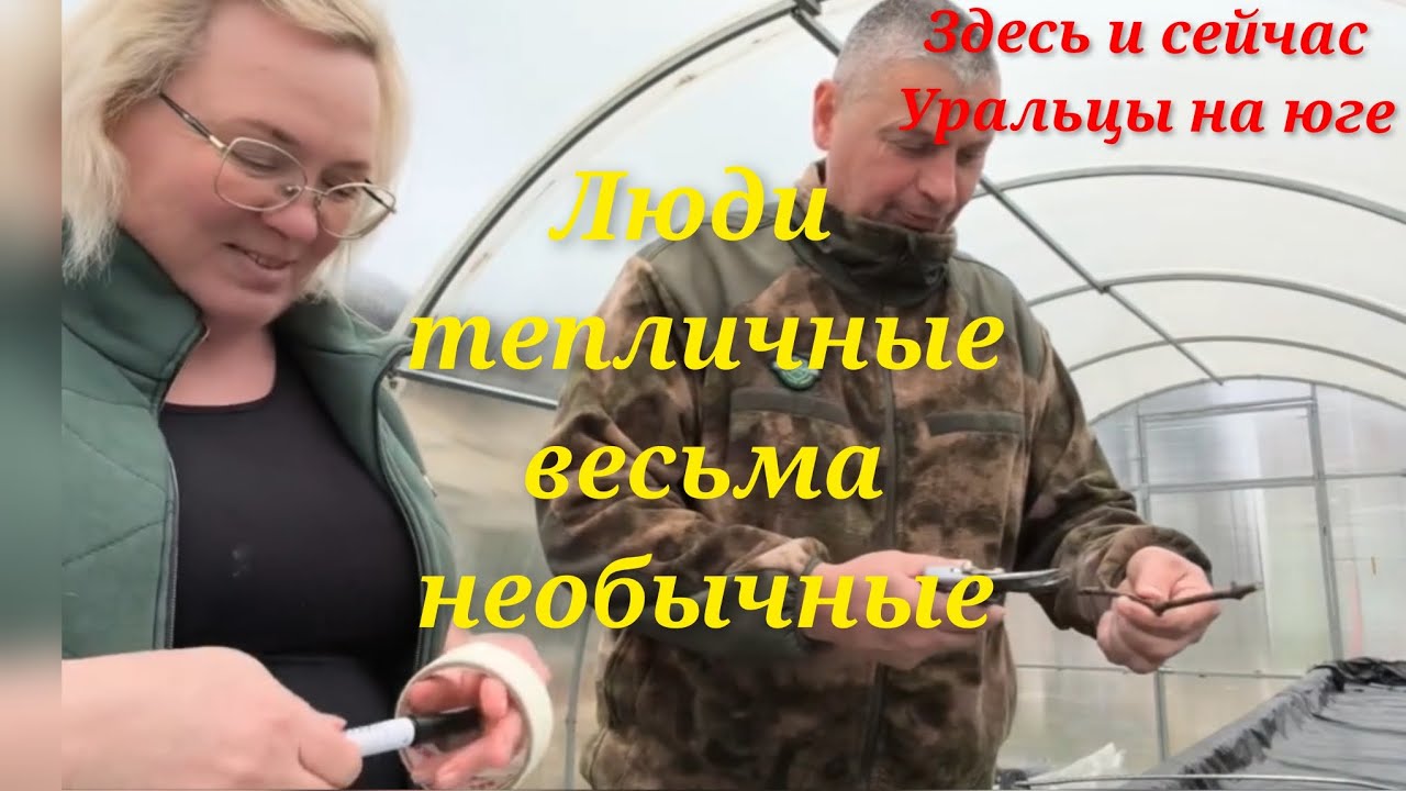 Началось! Наш виноград -наше детище!