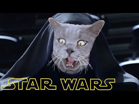 Star Wars - Starring My Cat