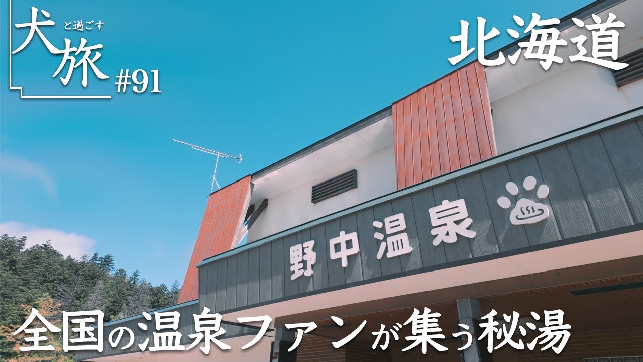 【野中温泉｜北海道】愛犬と宿泊！全国の温泉ファンが集う秘湯コスパ宿