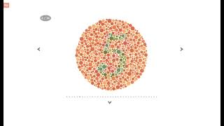 EyeCharts Visual Acuity software Demo Video (Full)