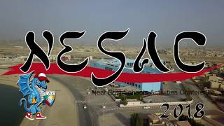 NESAC 2018