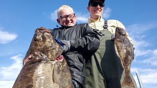 Halibut Catch \& Cook - Catching Halibut with Light Tackle (+1,000,000 flounders!)