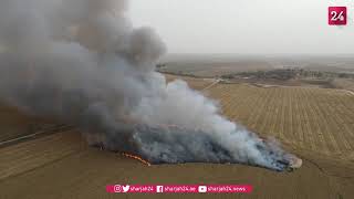 إسرائيل تخمد النيران الناجمة عن بالونات حارقة أطلقت من غزة #فلسطين