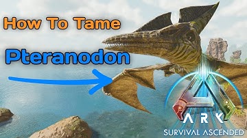 ARK ASCENDED How To Tame A Pteranodon