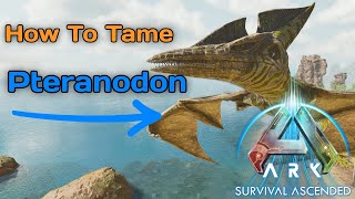 ARK ASCENDED How To Tame A Pteranodon  Beginner Dino Guide
