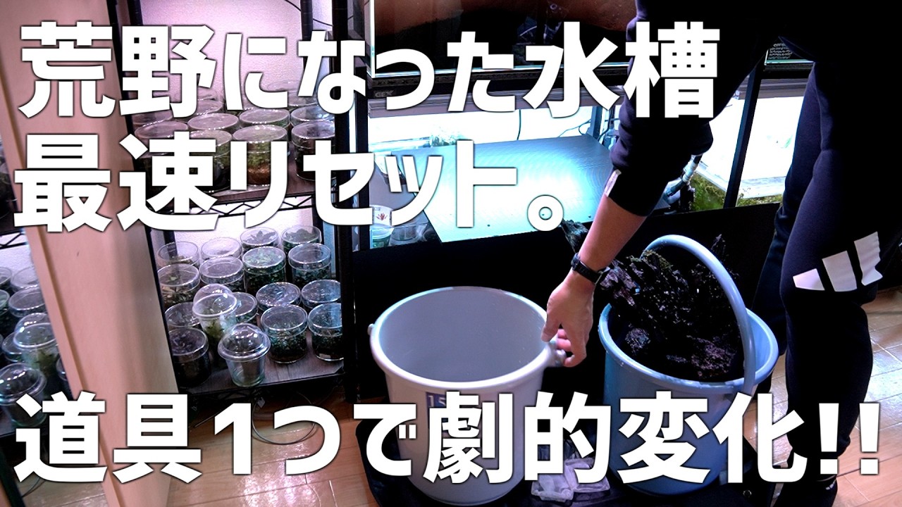 45×90水槽【終了しました】 hq720.jpg?sqp=-