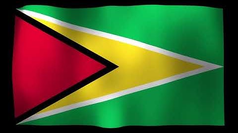 Guyana Flag 4K Loop Video