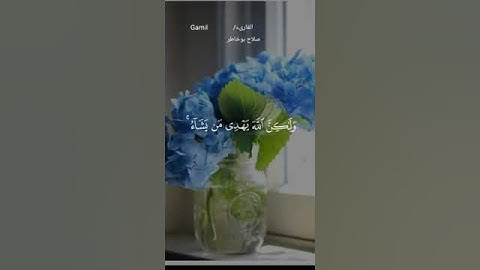 #ماتيسر_من سورة القصص بصوت القارئ للشيخ صلاح بوخاطر قناة القرآن الكريم الرسمية