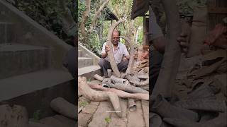 Process Of Making Fancy Comb With Animal Horns
