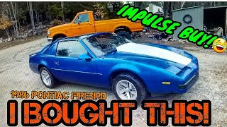 Player Profile GOOD DEAL OR HUGE MISTAKE?! 1986 Pontiac Firebird. Yeah I bought it...