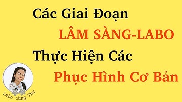 Các giai đoạn lâm sàng-labo thực hiện các phục hình cơ bản.