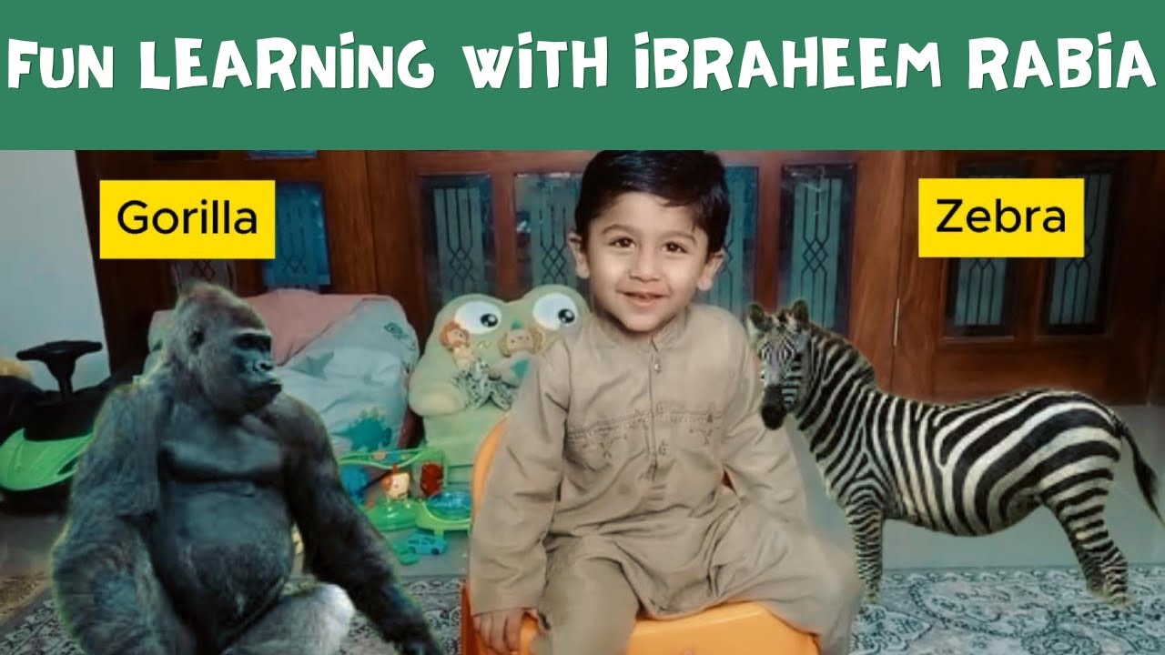 learning animals for kids | learning animals video | Ibraheem Rabia ...