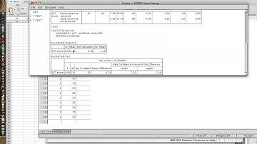 1 3 One Sample T test PSPP inClassExample
